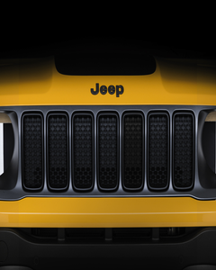 Grille matgrijs met ringen matzwart.