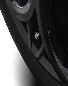 Ventieldoppen met Alfa Romeo-logo