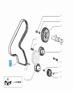 Distributieriem voor Fiat en Fiat Professional